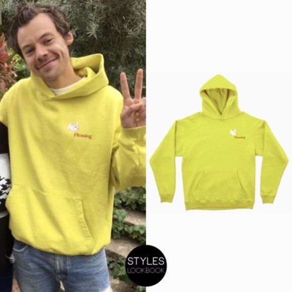 pleasing Shirts Harry Styles Pleasing Coachella Hoodie Poshmark